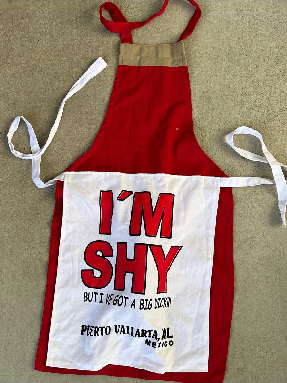 Puerto Vallarta JAL Mexico "I'M SHY" Big D Novelty Funny Souvenir Party  Apron